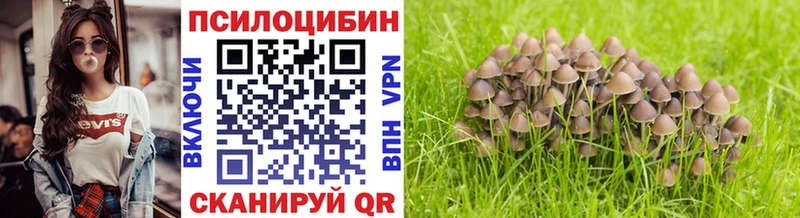 Псилоцибиновые грибы MAGIC MUSHROOMS  купить наркотик  Знаменск 