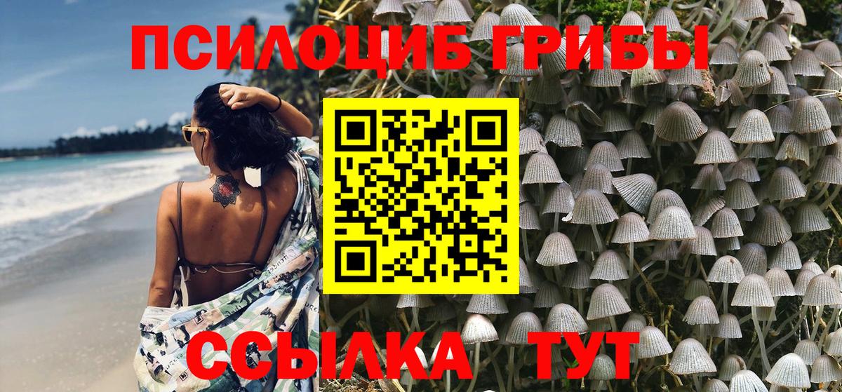 Галлюциногенные грибы Cubensis Знаменск