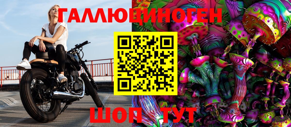 Знаменск  Псилоцибиновые грибы MAGIC MUSHROOMS  Вход с VPN 
