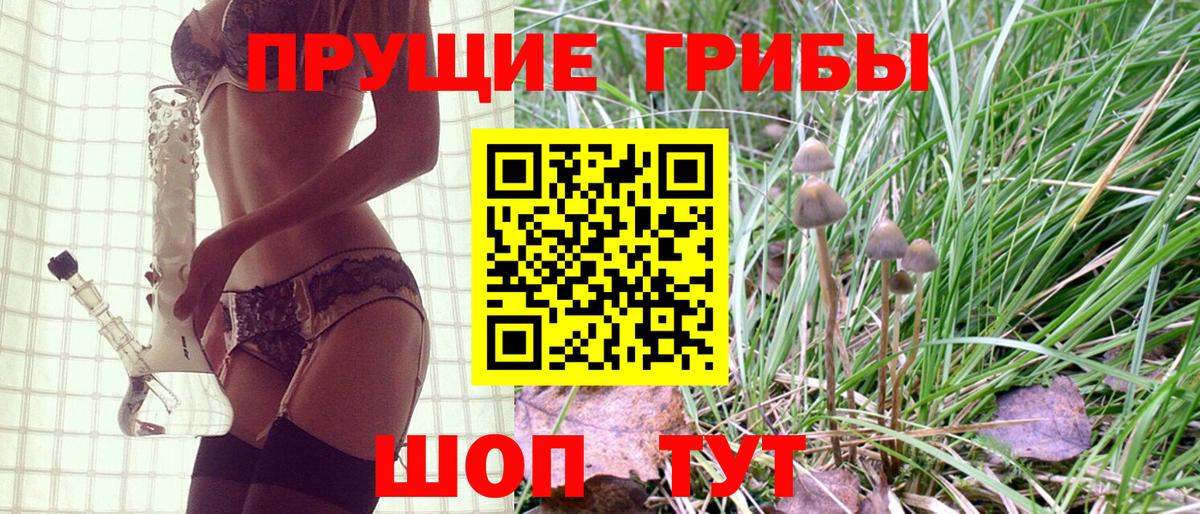 Псилоцибиновые грибы прущие грибы Знаменск