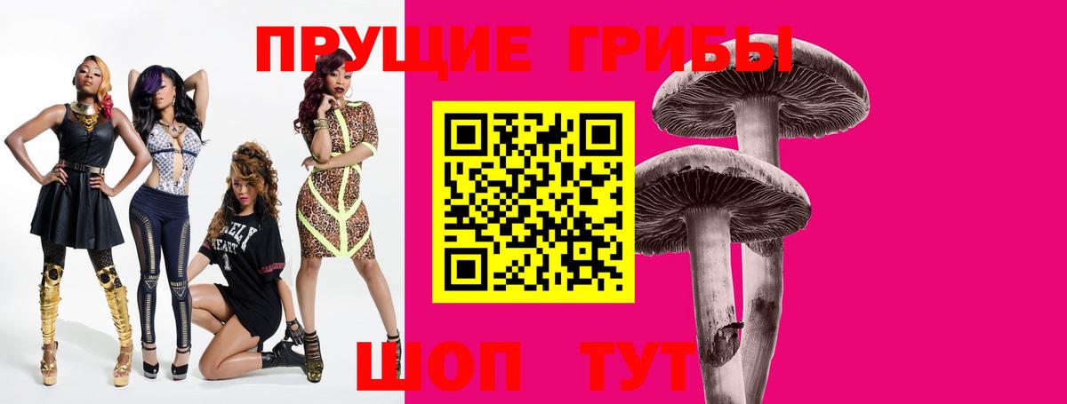 купить наркотик  Знаменск  Псилоцибиновые грибы MAGIC MUSHROOMS 